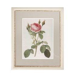 Постер в раме Роза и Шиповник 41